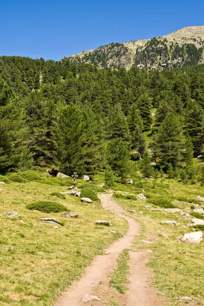 Stock image Mountain path