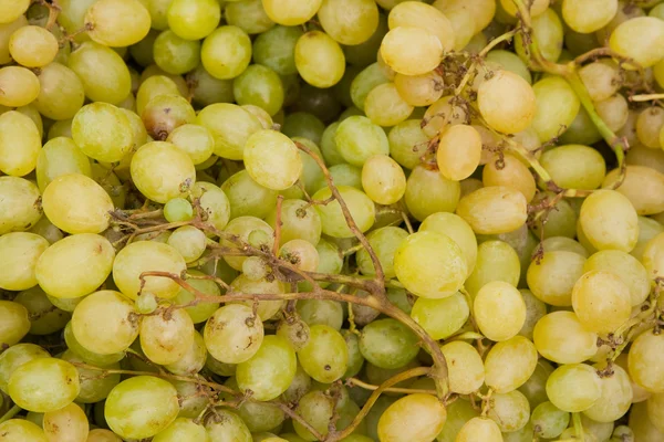 stock image Grapes