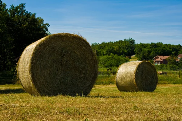 Strobalen — Stockfoto