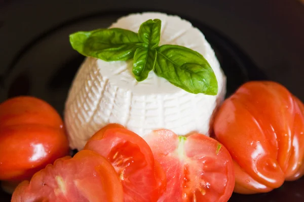 Basil, ricotta and tomatoes — Stock Photo, Image