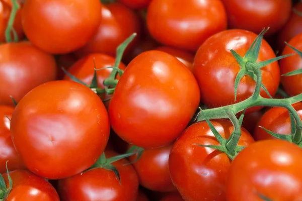 stock image Tomatoes