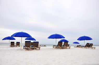 Beach Umbrellas and Chairs clipart