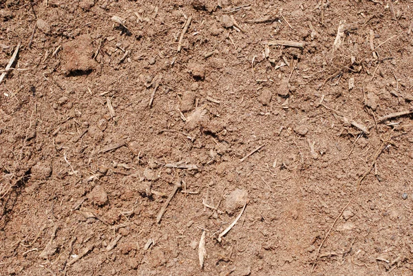 stock image Dirt Background