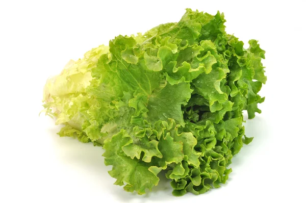 Vihreä lehtisalaatti — kuvapankkivalokuva