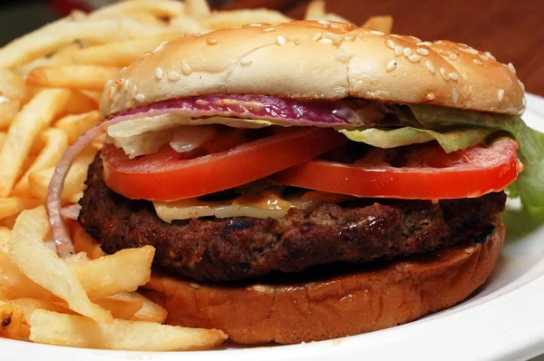 Hamburger and French Fries — Stock Photo, Image