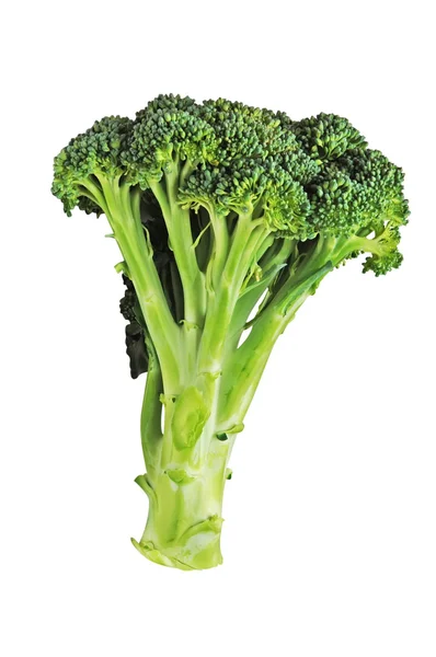 Flor de brócoli — Foto de Stock