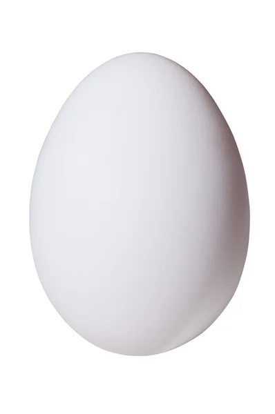 Rauw ei geïsoleerd met uitknippad — Stockfoto