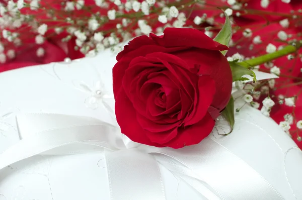 Czerwona róża na białej poduszce — Zdjęcie stockowe