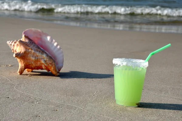Margarita i muszla na plaży — Zdjęcie stockowe