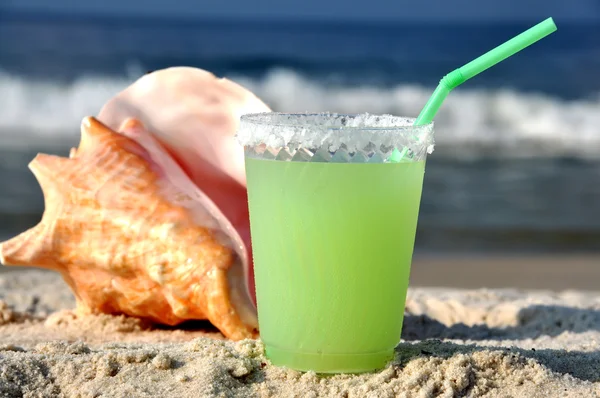Margarita e Seashell na praia — Fotografia de Stock