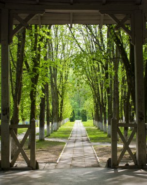 yeşil park