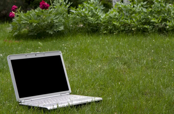 Laptop in nature — Stock Photo, Image