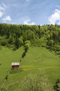 doğal park rodna