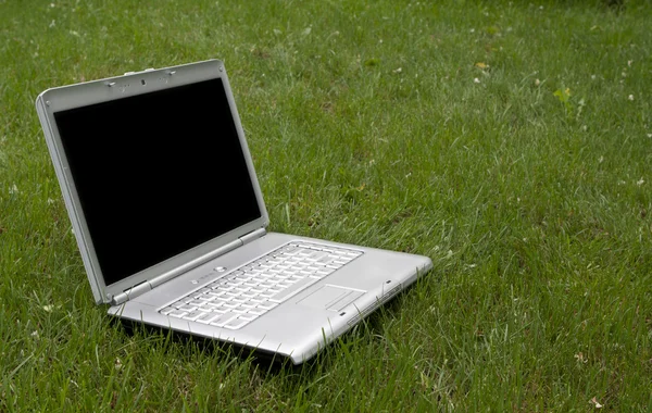 Laptop in der Natur — Stockfoto