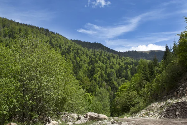 stock image Landscape view