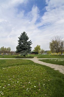 Parkta ilkbahar