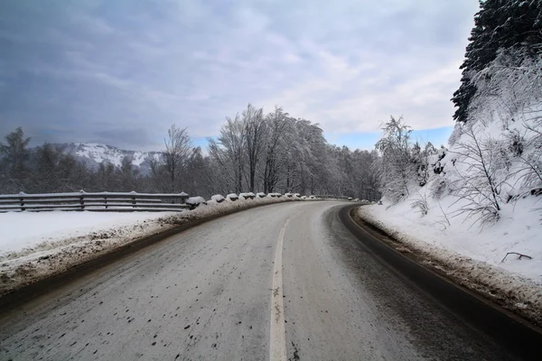 Venkovní zimní lesní cesta — Stock fotografie