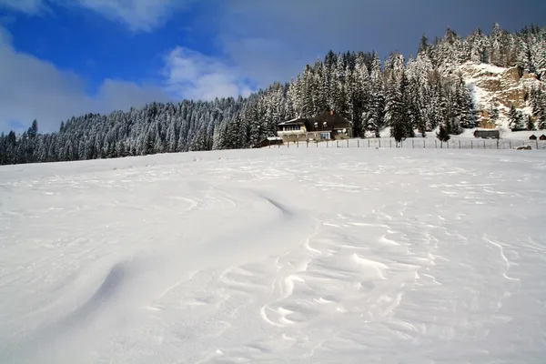 Tekstury śniegu, założony przez silny wiatr. — Zdjęcie stockowe