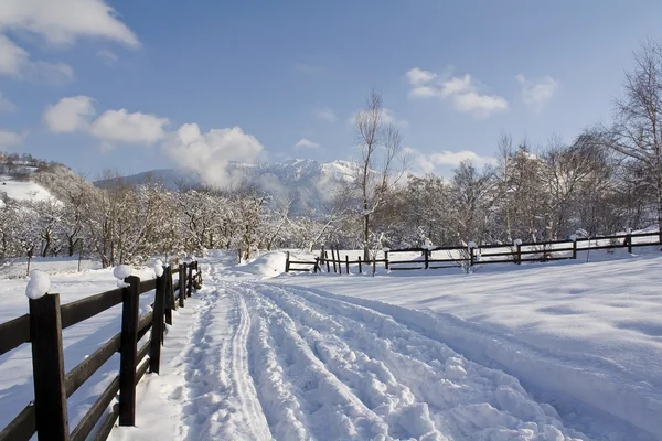 Winter in Kleie — Stockfoto
