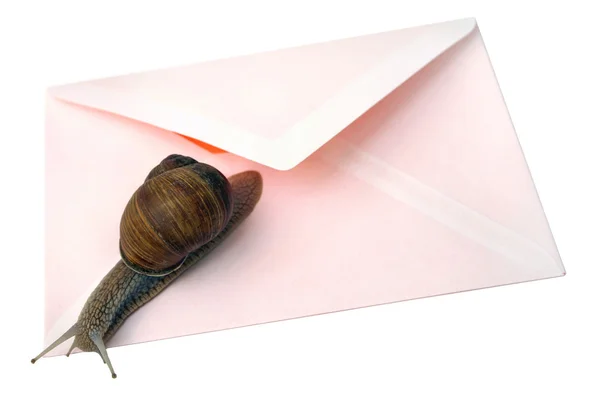 Snail Mail Isolated — Stock Photo, Image