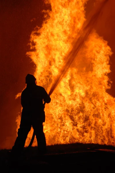 Tűzoltók munkában — Stock Fotó