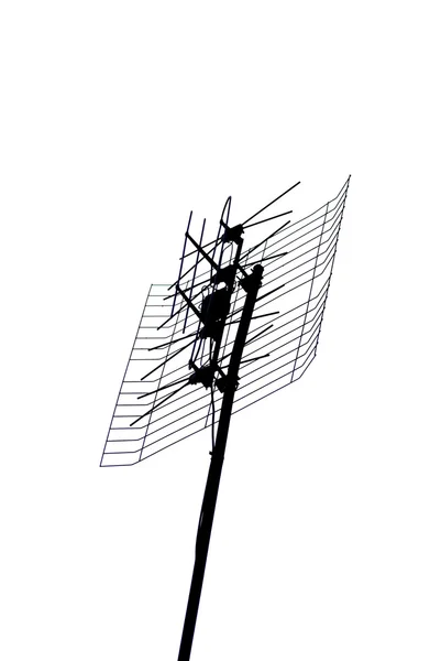 Satellite antenna isolated on white — Stock Photo, Image