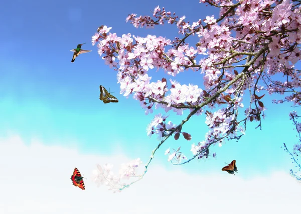 stock image Nature