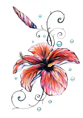 Hibiscus clipart