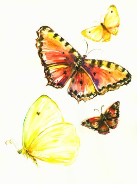 Butterflies clipart