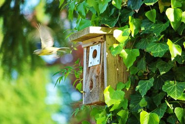 Birdhouse clipart