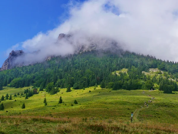 stock image Mountain