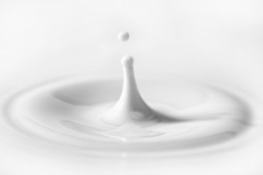 Beautiful splash of milk. clipart