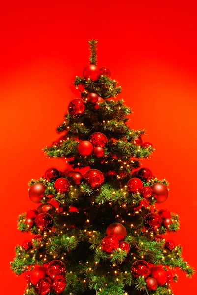 stock image Green Christmas tree on red background.