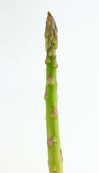 Asparagus stalk — Stock Photo, Image