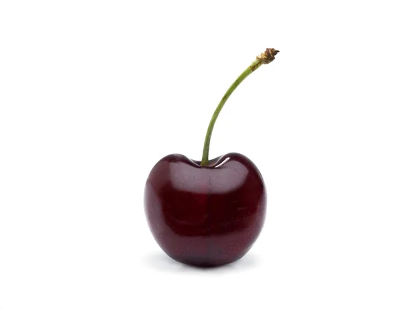 stock image Single Cherry