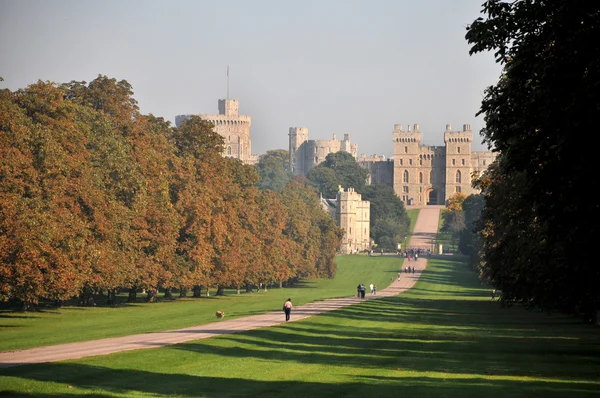 Windsor kasteel — Stockfoto