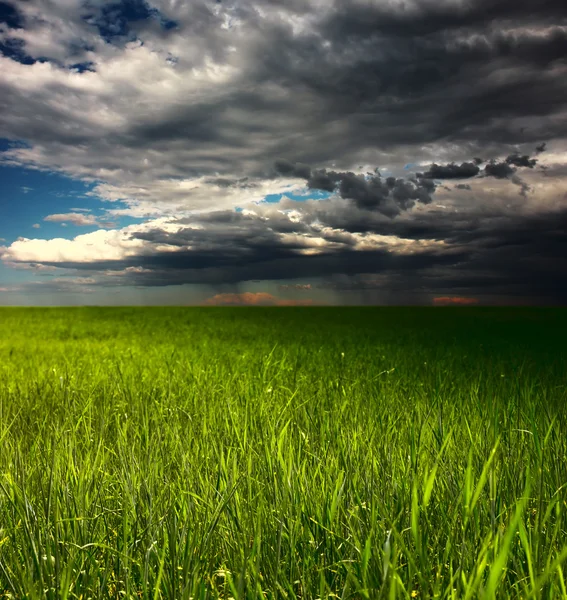 Burza nad łąka — Zdjęcie stockowe