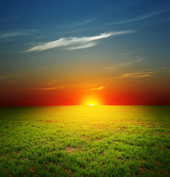 Sunset over field with grass