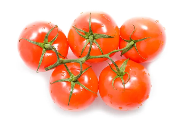 Tomates vermelhos frescos sobre um fundo branco — Fotografia de Stock
