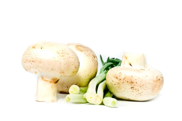 Pilze auf weißem Hintergrund — Stockfoto