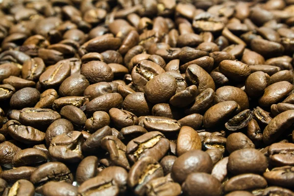 El café está en granos —  Fotos de Stock
