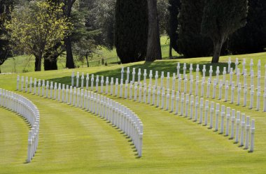 Florence American cemetry clipart