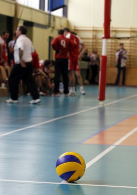 Volley_1