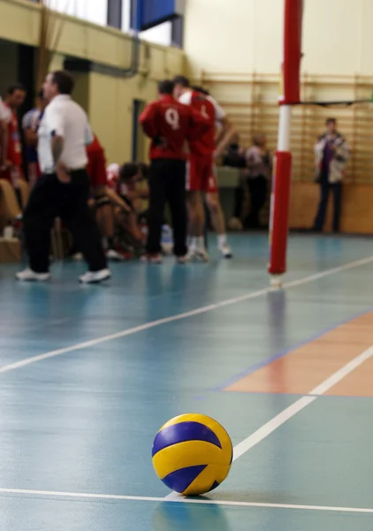 Volley_1