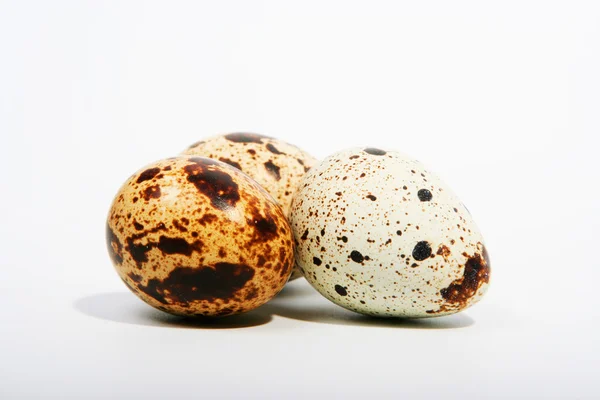 Dvojice z křepelčích vajec — Stock fotografie