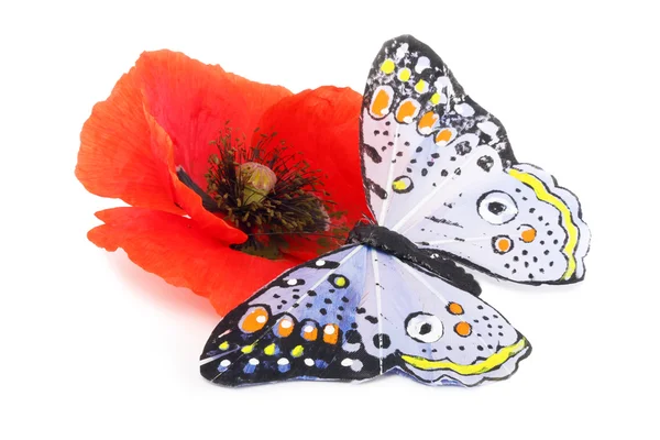 Poppy and the butterfly — Stock Photo, Image