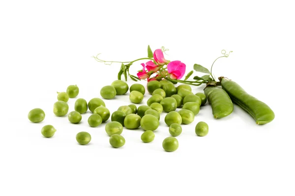 Green Peas — Stock Photo, Image