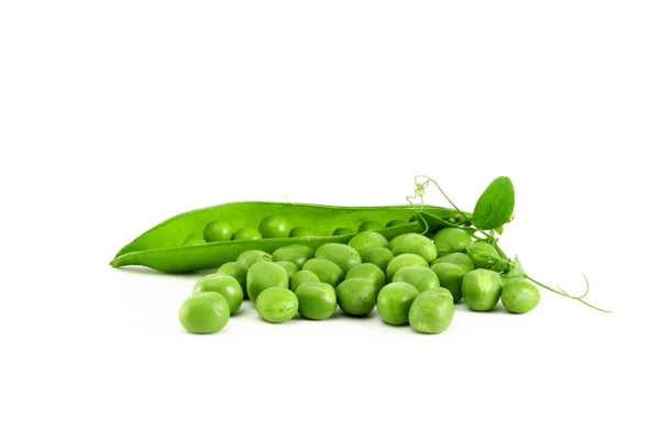 绿豆 — 图库照片