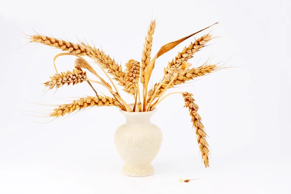 Пшеничные уши и зерно в декоративной керамической вазе — стоковое фото