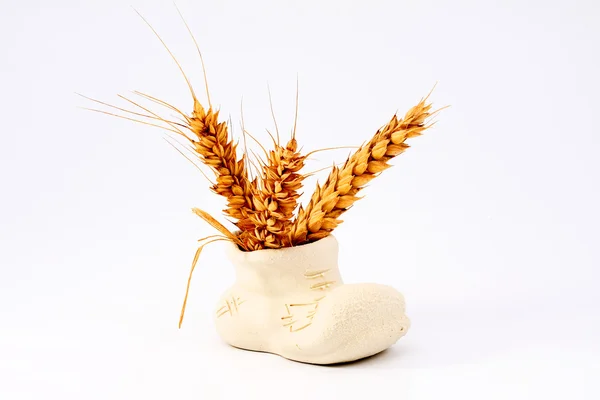 Пшеничные уши в декоративной керамической вазе на белом фоне — стоковое фото